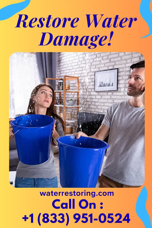 water restoration Ace Water Removal Authority Danville