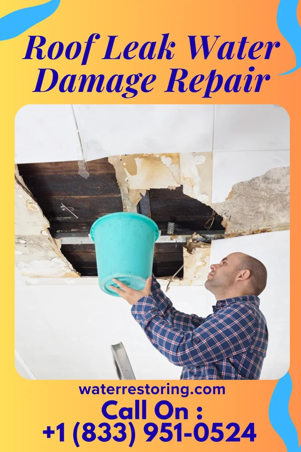 Roof Leak Water Damage Repair in Danville, MD