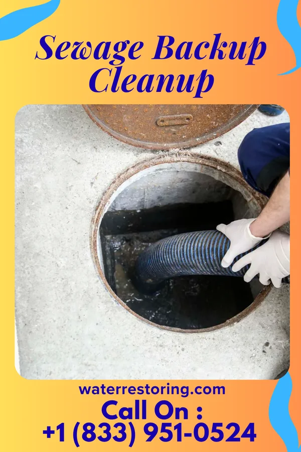 Sewage Backup Cleanup in Danville, MD