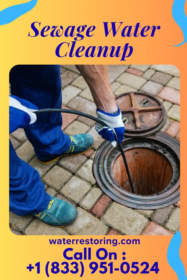 Sewage Water Cleanup in Danville, MD